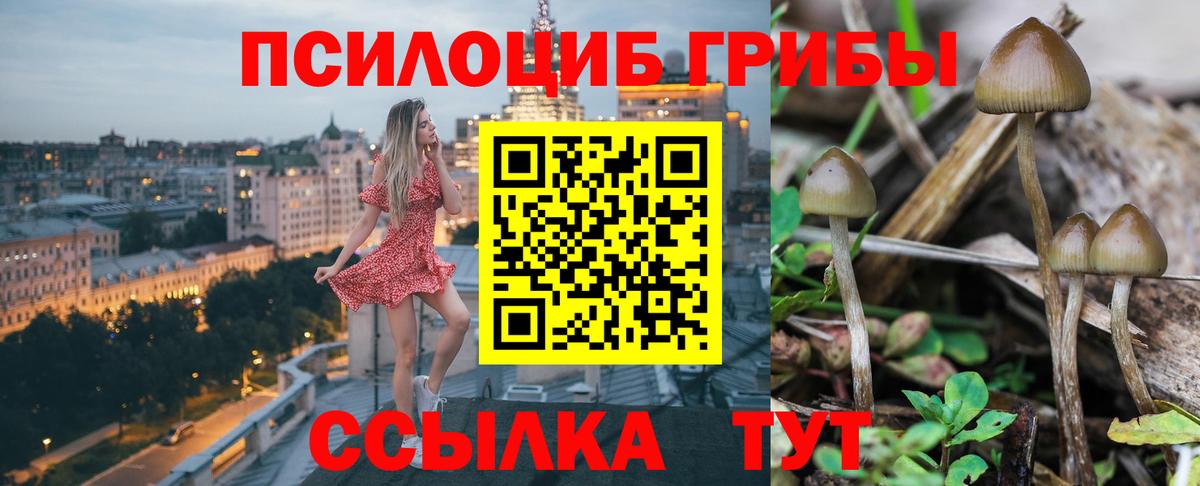 Псилоцибиновые грибы Psilocybe  Вход с VPN  Солнечногорск 